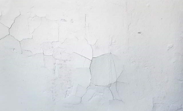 456.jpg