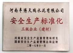 安全生产标准化三级企业